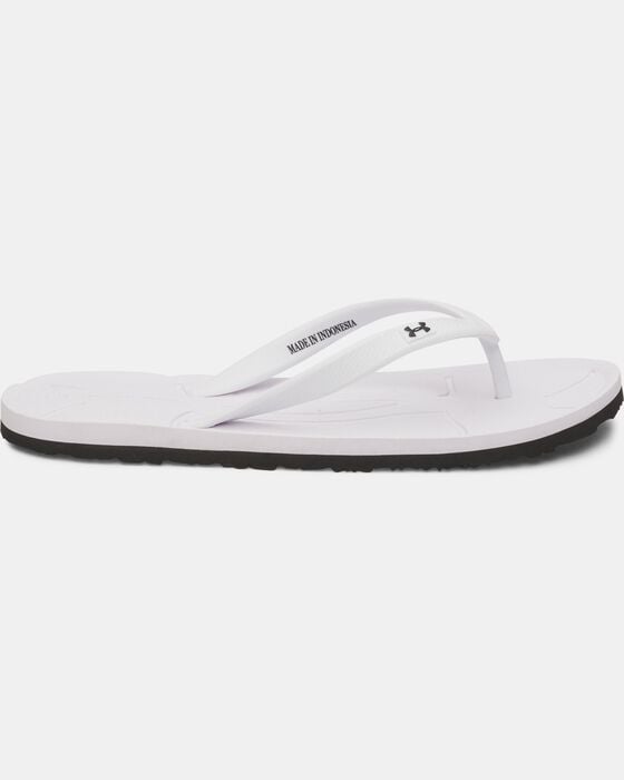 UA ساراسوتا image number 0