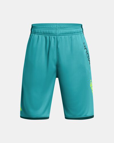 Boys' UA Stunt 3.0 Shorts