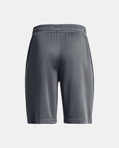 Boys' UA Prototype 2.0 Wordmark Shorts