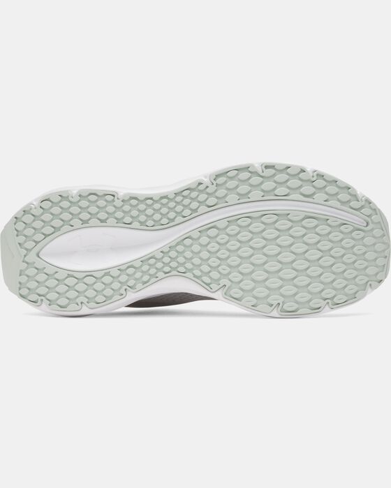 UA Ascend image number 4