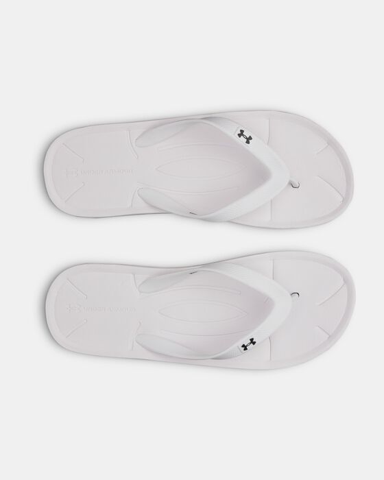 UA ساراسوتا image number 2