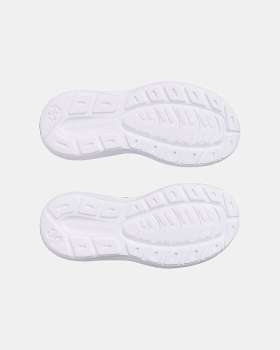 UA Rogue 5 AL  image number 4