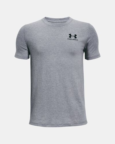 Boys' UA Cotton Short Sleeve