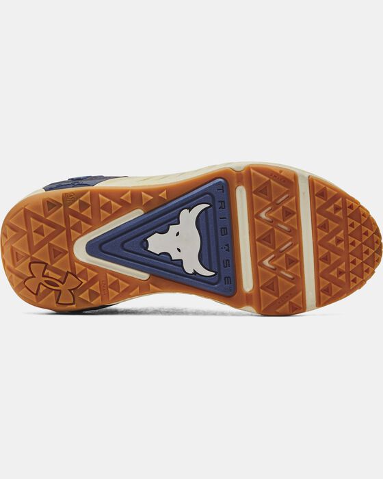 Project Rock 6 image number 4