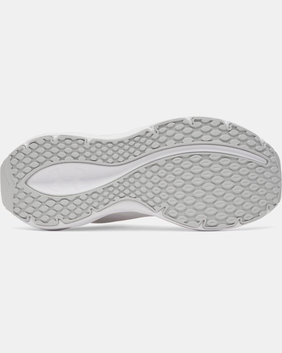 UA Ascend image number 4