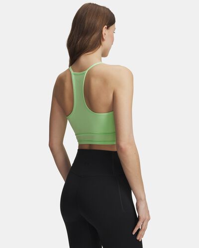 UA Meridian Support