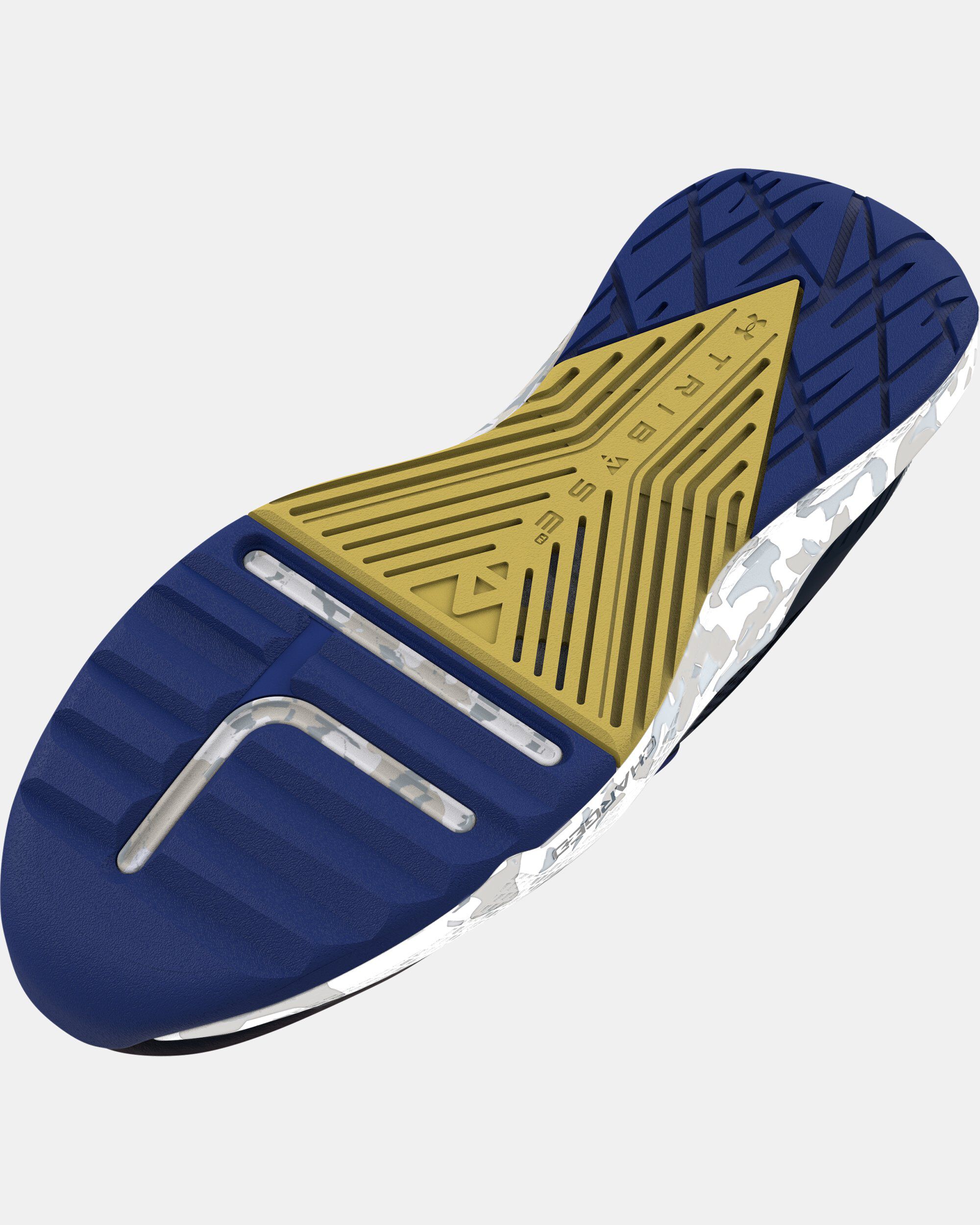 Buy Unisex Project Rock BSR 2 Marble Training Shoes Blue in