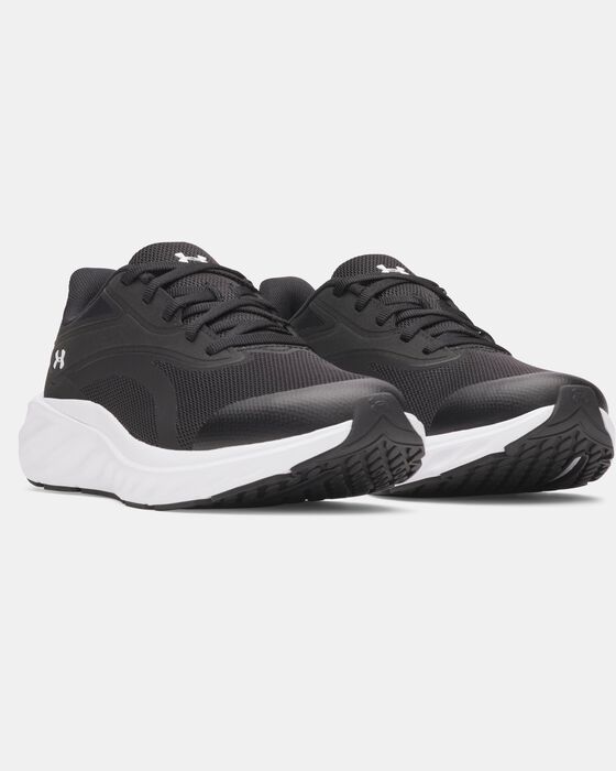 UA Ascend image number 3