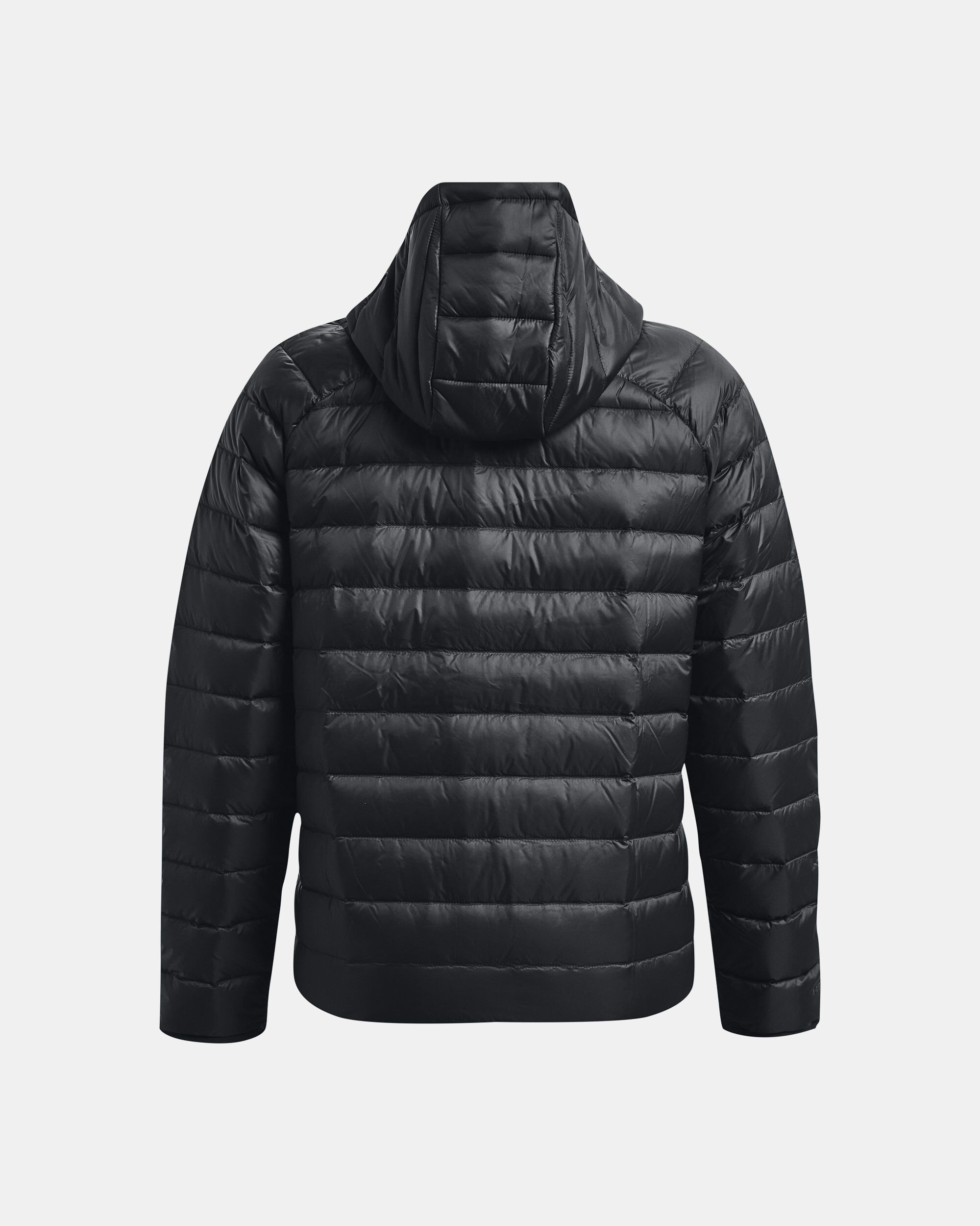 Chromatic core down jacket online