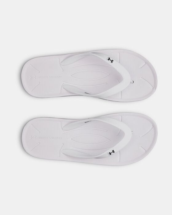 UA ساراسوتا image number 2