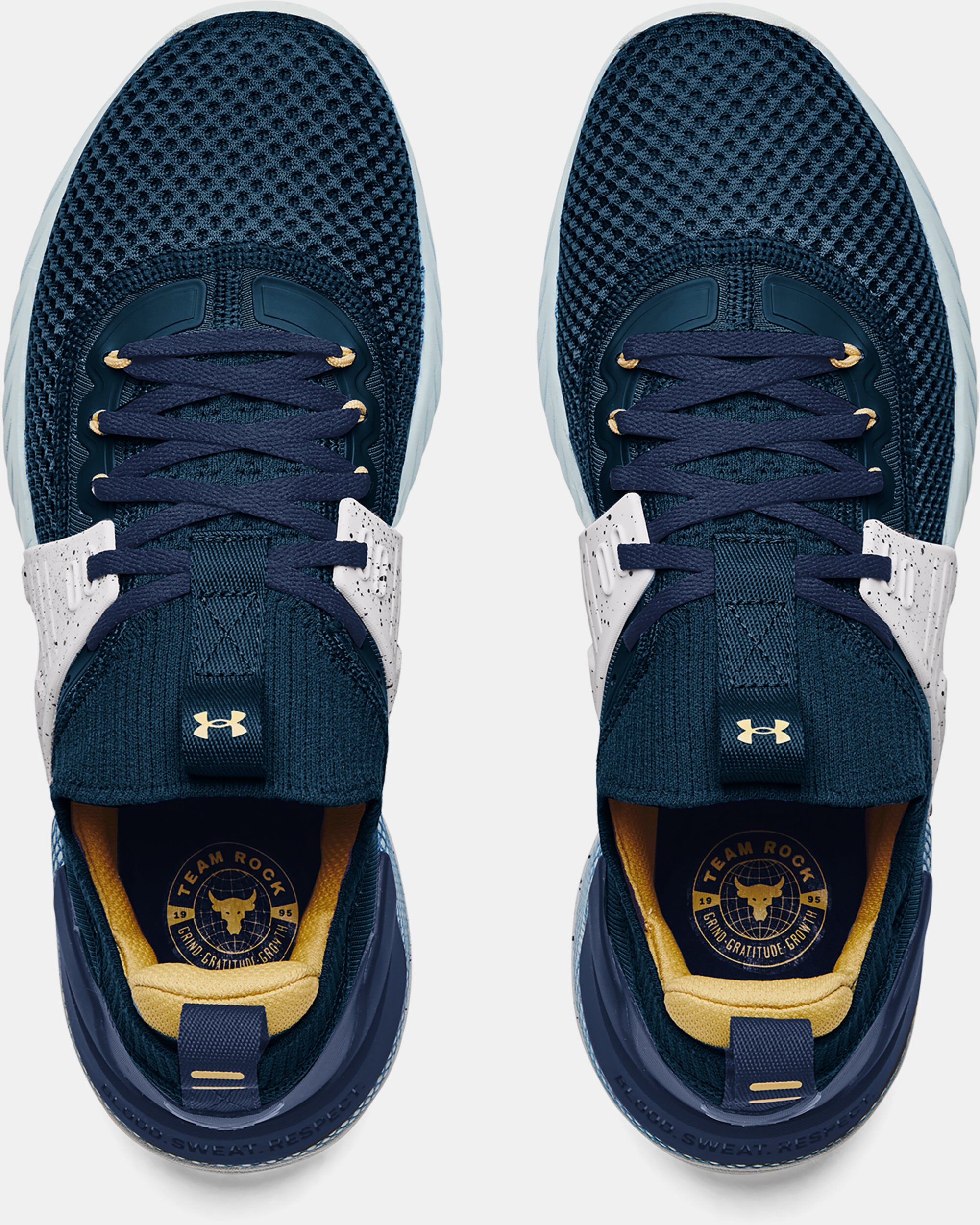 Under Armour Men s Project Rock 4 Team Rock Training Shoes Blue in