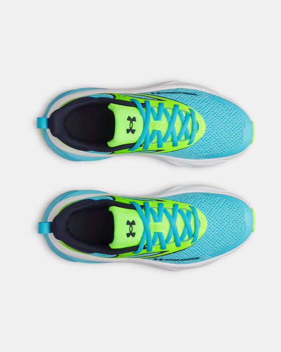 UA Rogue 6 image number 2