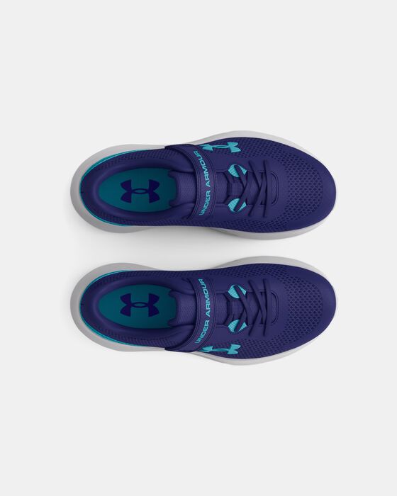 UA Surge 3 AC image number 2