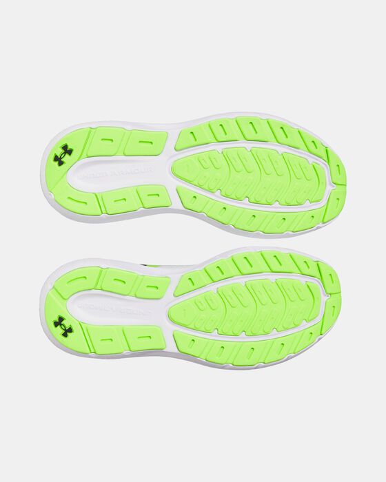 UA Rogue 5 image number 4