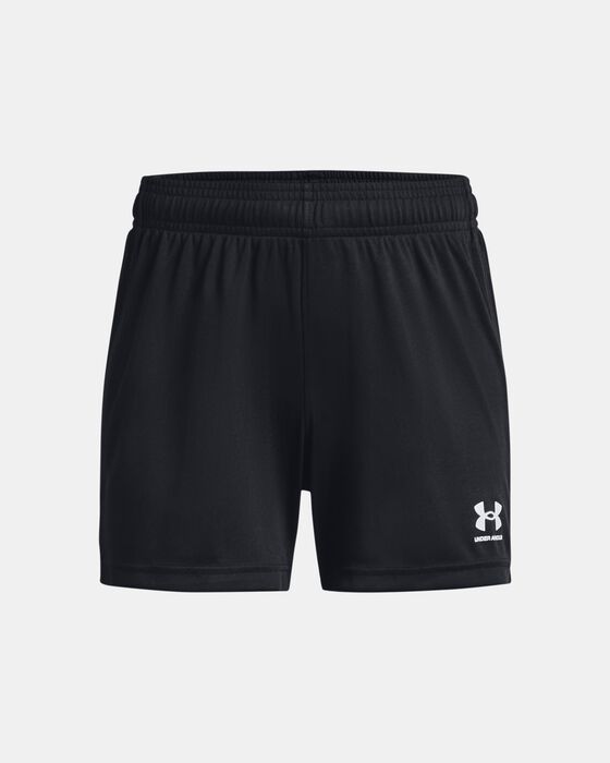 UA Challenger Knit image number 0