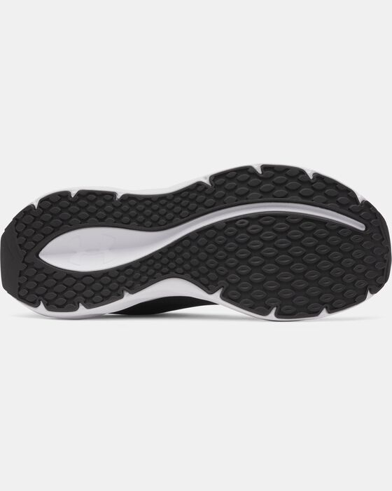 UA Ascend image number 4