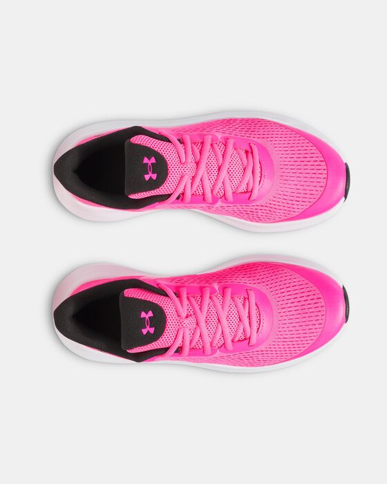 UA Rogue 5 image number 2