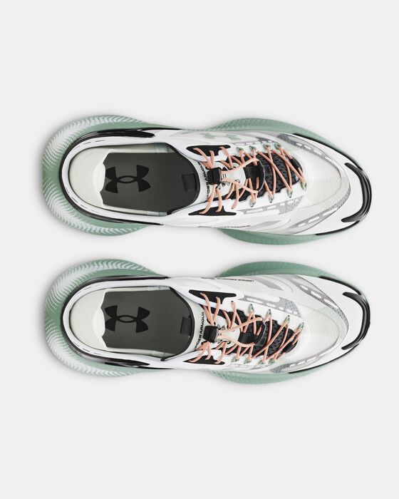 UA Echo image number 2