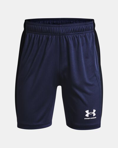 Youth UA Challenger Knit Shorts