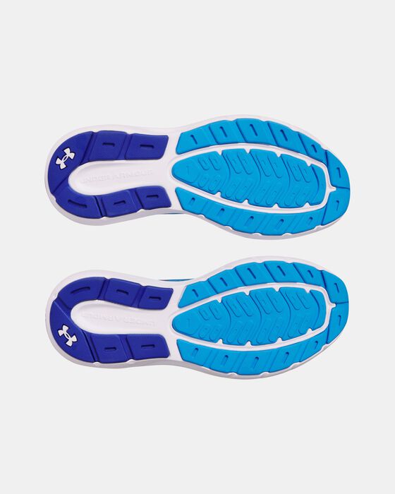 UA Rogue 5 image number 4