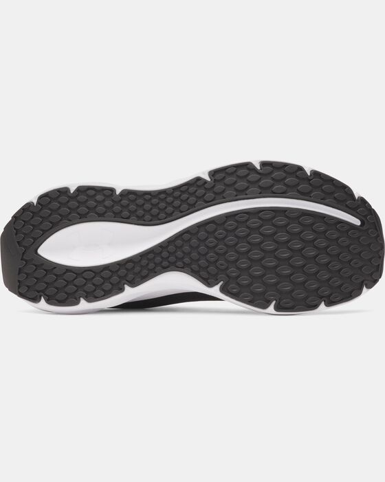 UA Ascend image number 4