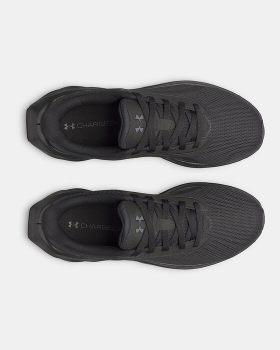 UA Ascend image number 2